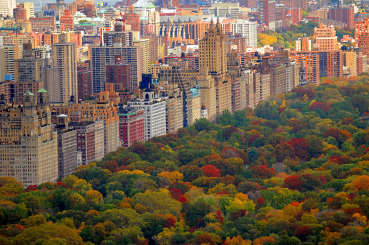 New York City 1214