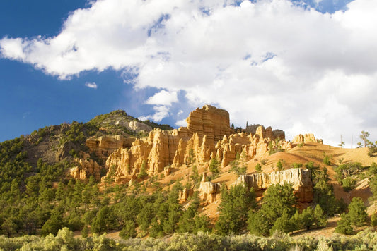 Dixie National Forest Utah 1764