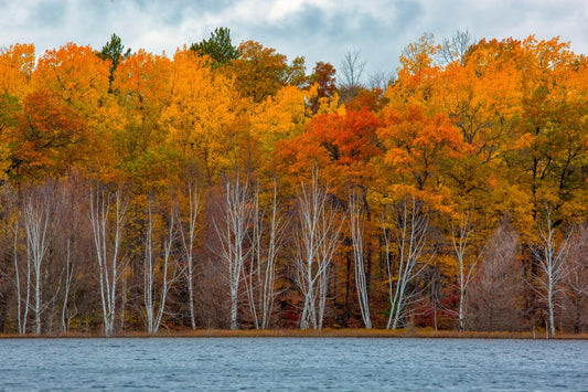 Wisconsin 2747