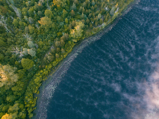 Michigan #2805