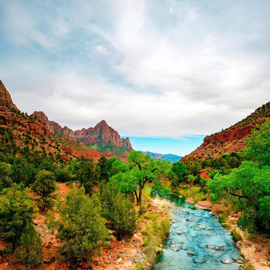 Zion National Park Utah 5863