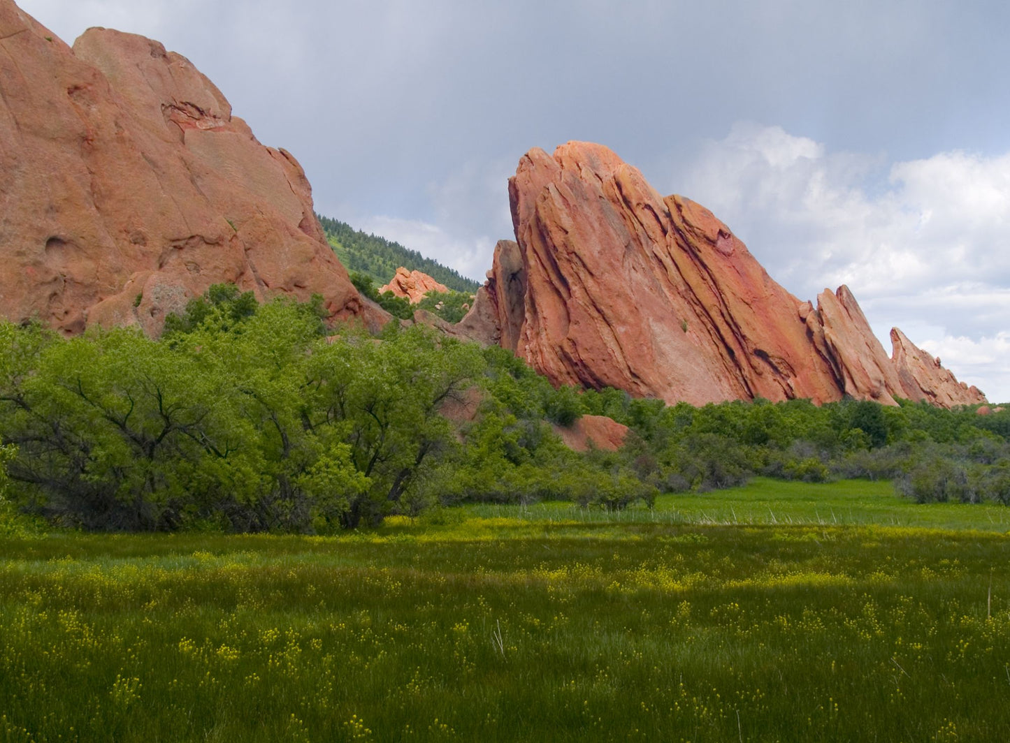 Colorado #7044