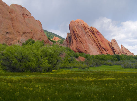 Colorado #7044