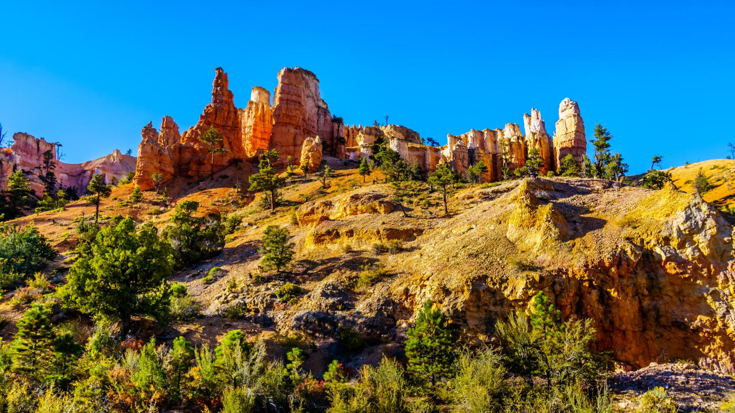 Dixie National Forest Utah 1755