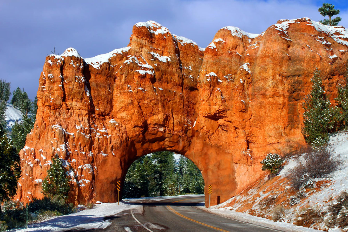 Dixie National Forest Utah 1758
