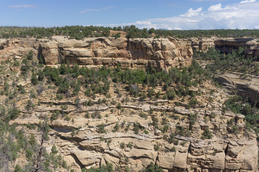 Mesa Verde #1111