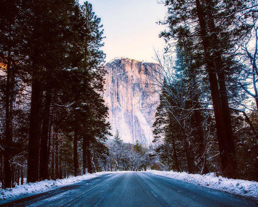 Yosemite National Park 269