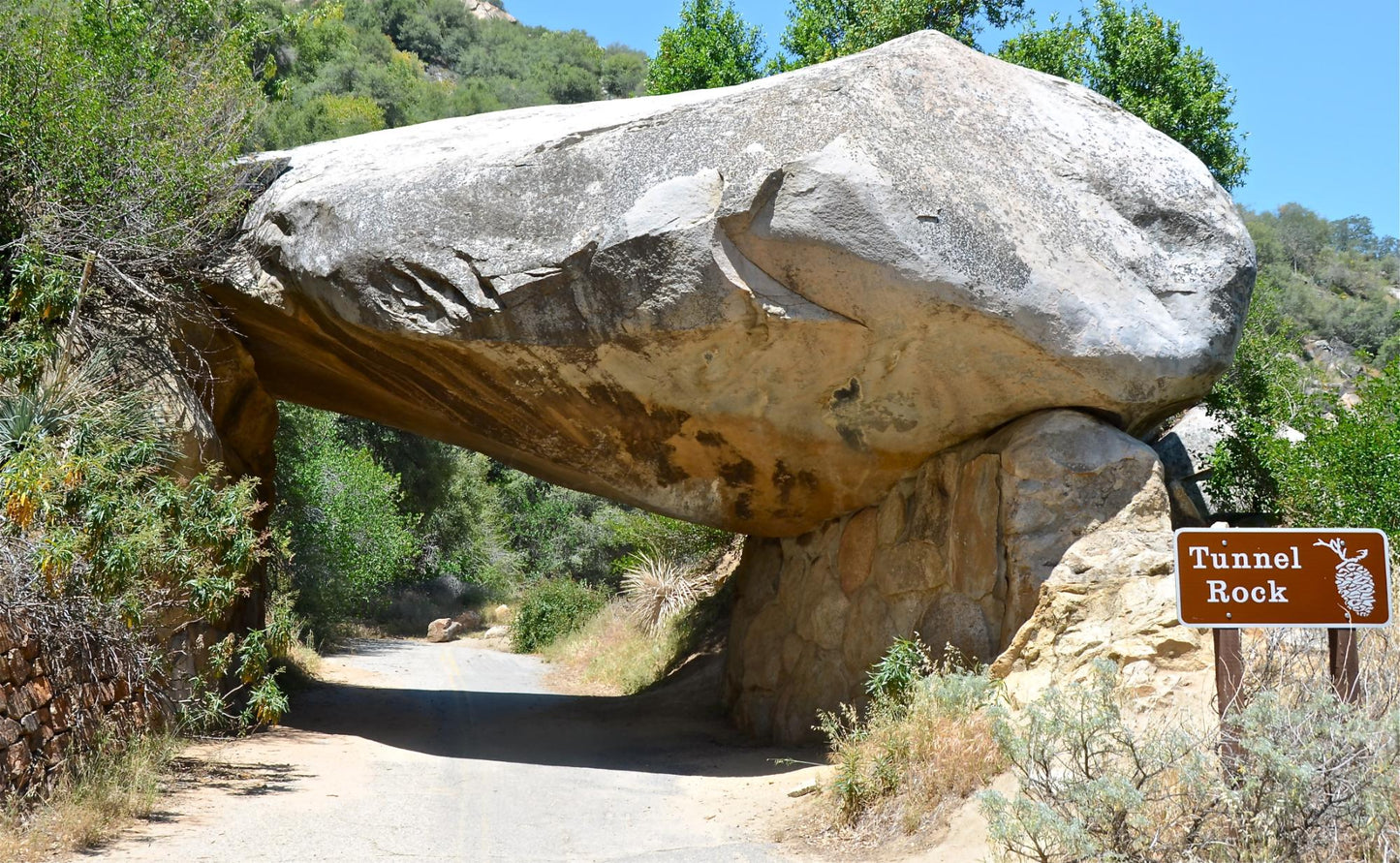 Sequoia National Park 1025