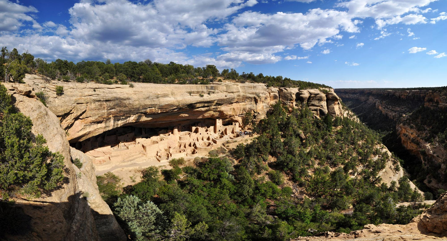 Mesa Verde #1116