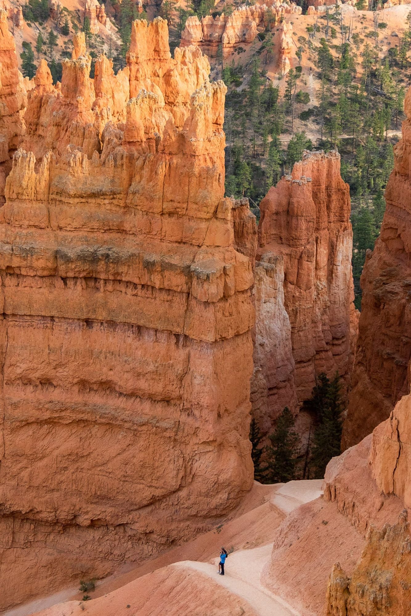 Bryce Canyon Utah #1415