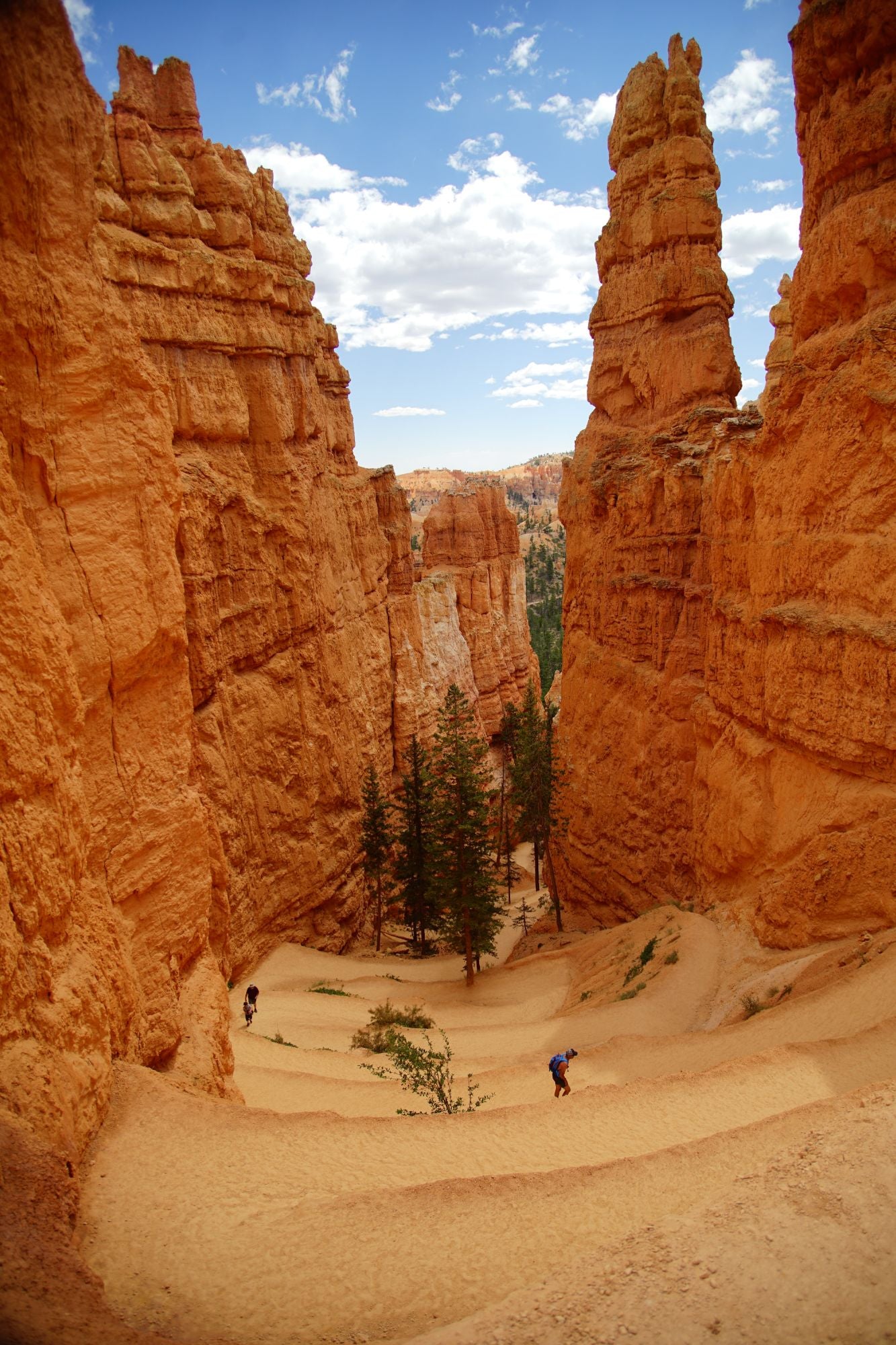 Bryce Canyon Utah #1416