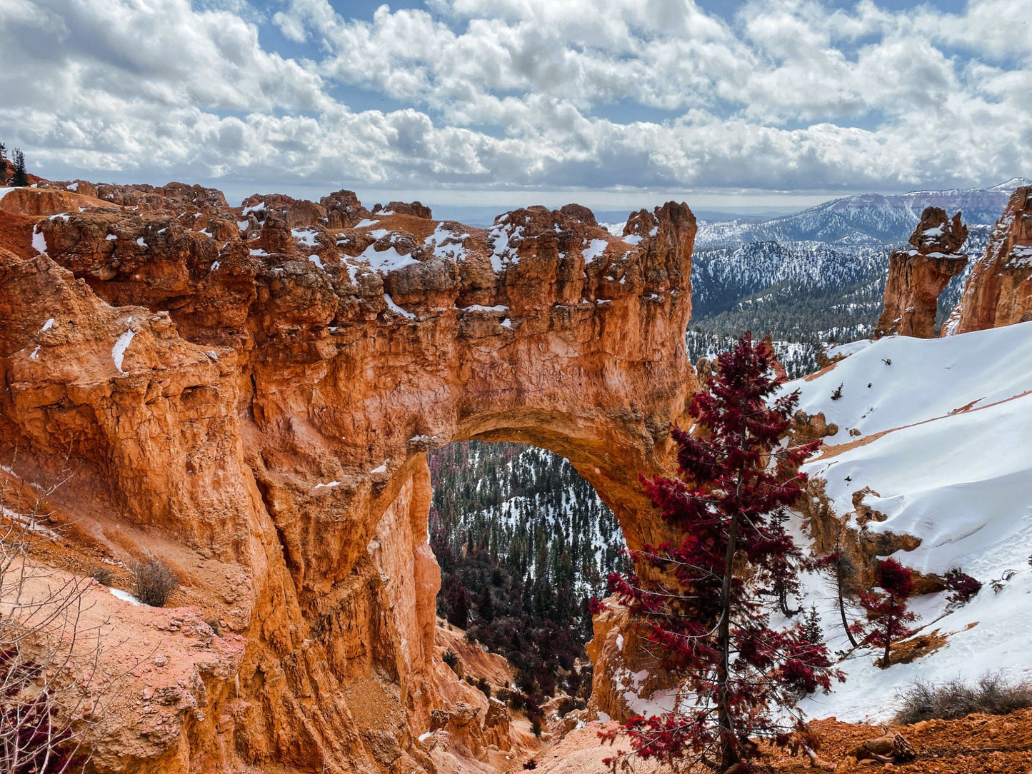 Bryce Canyon Utah #1419