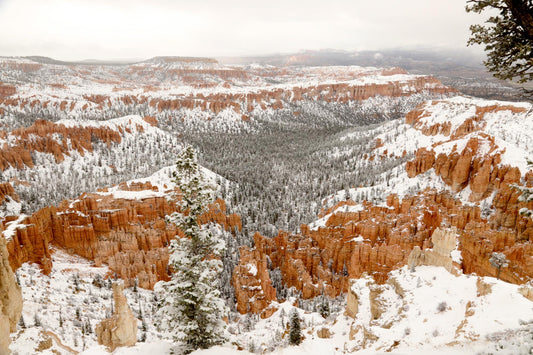 Bryce Canyon Utah #1420