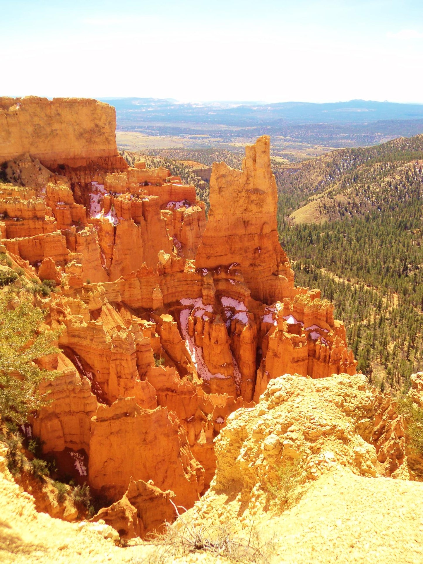 Bryce Canyon Utah #1425