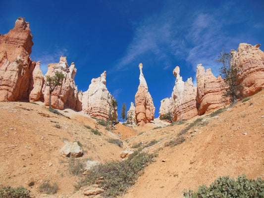 Bryce Canyon Utah #1426