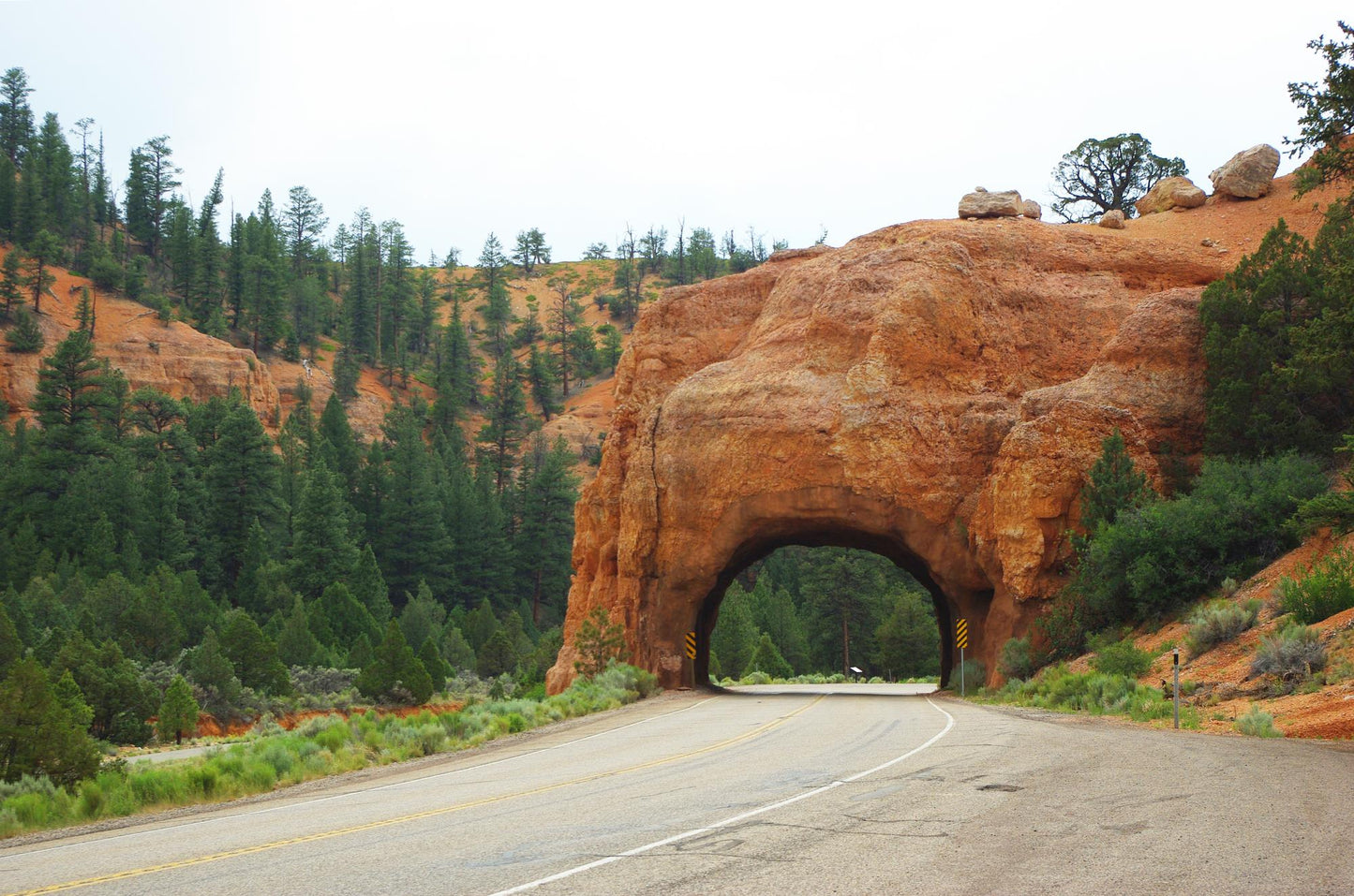 Bryce Canyon Utah #1427