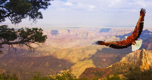 Grand Canyon Arizona #162