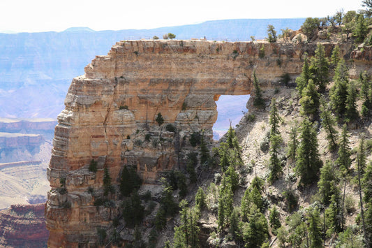 Grand Canyon Arizona #165