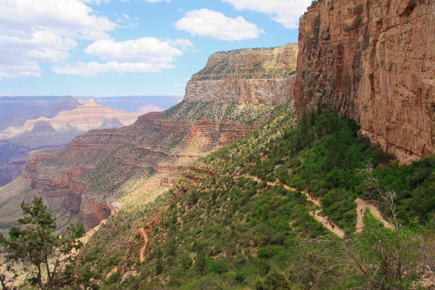 Grand Canyon Arizona #168