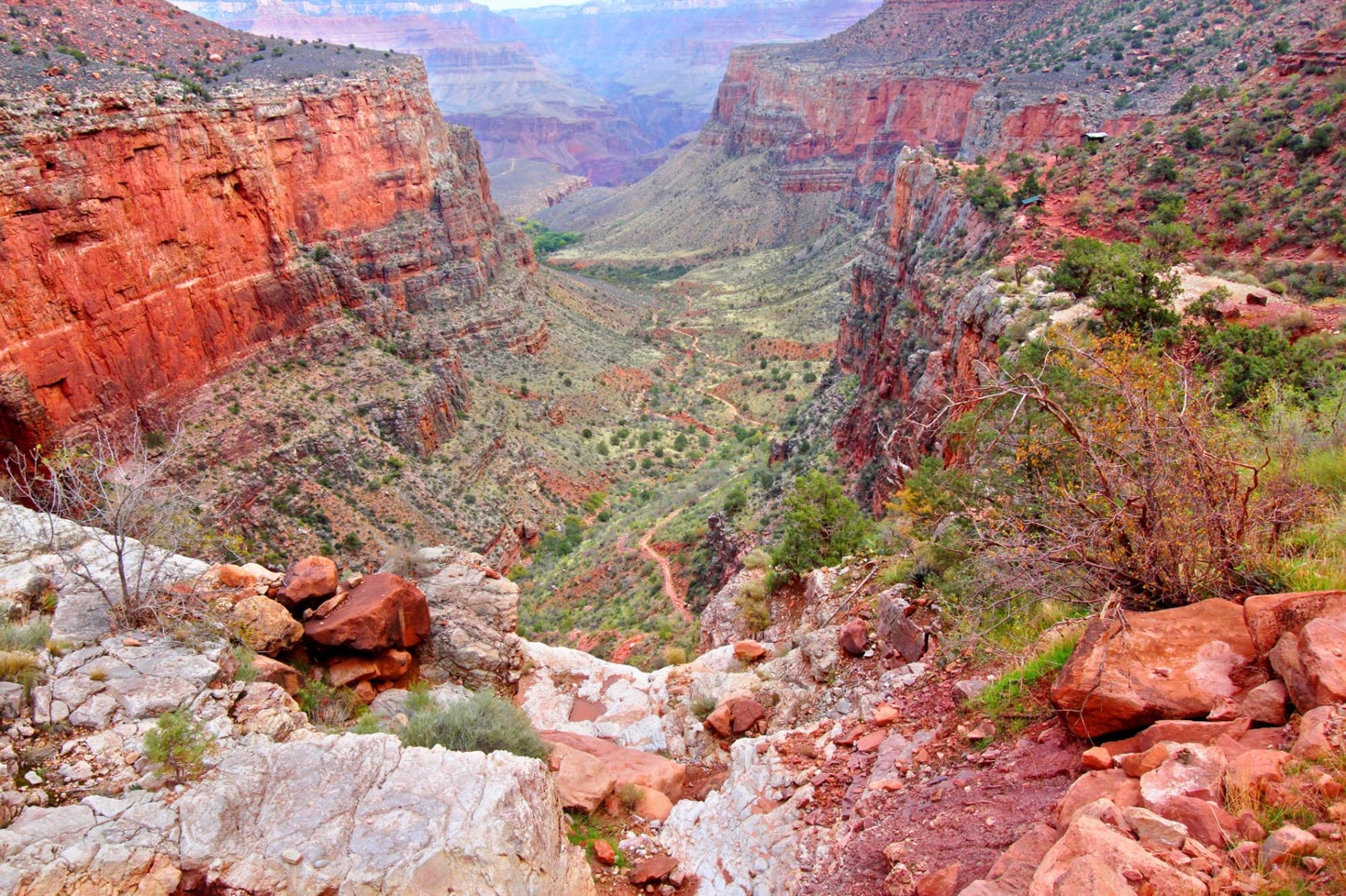 Grand Canyon Arizona #169