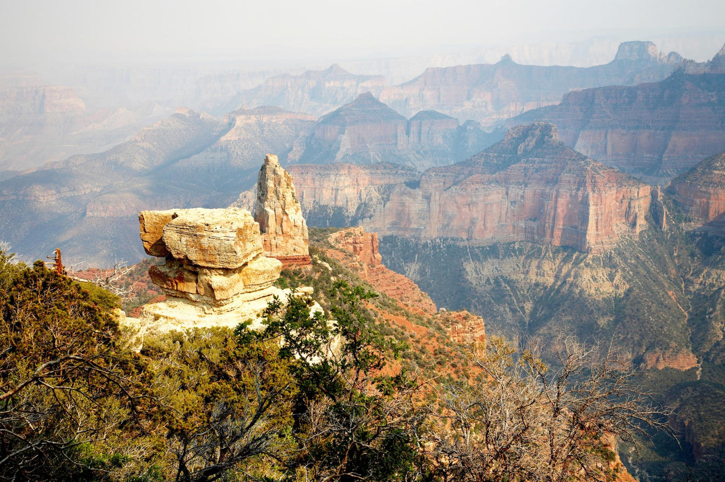 Grand Canyon Arizona #173