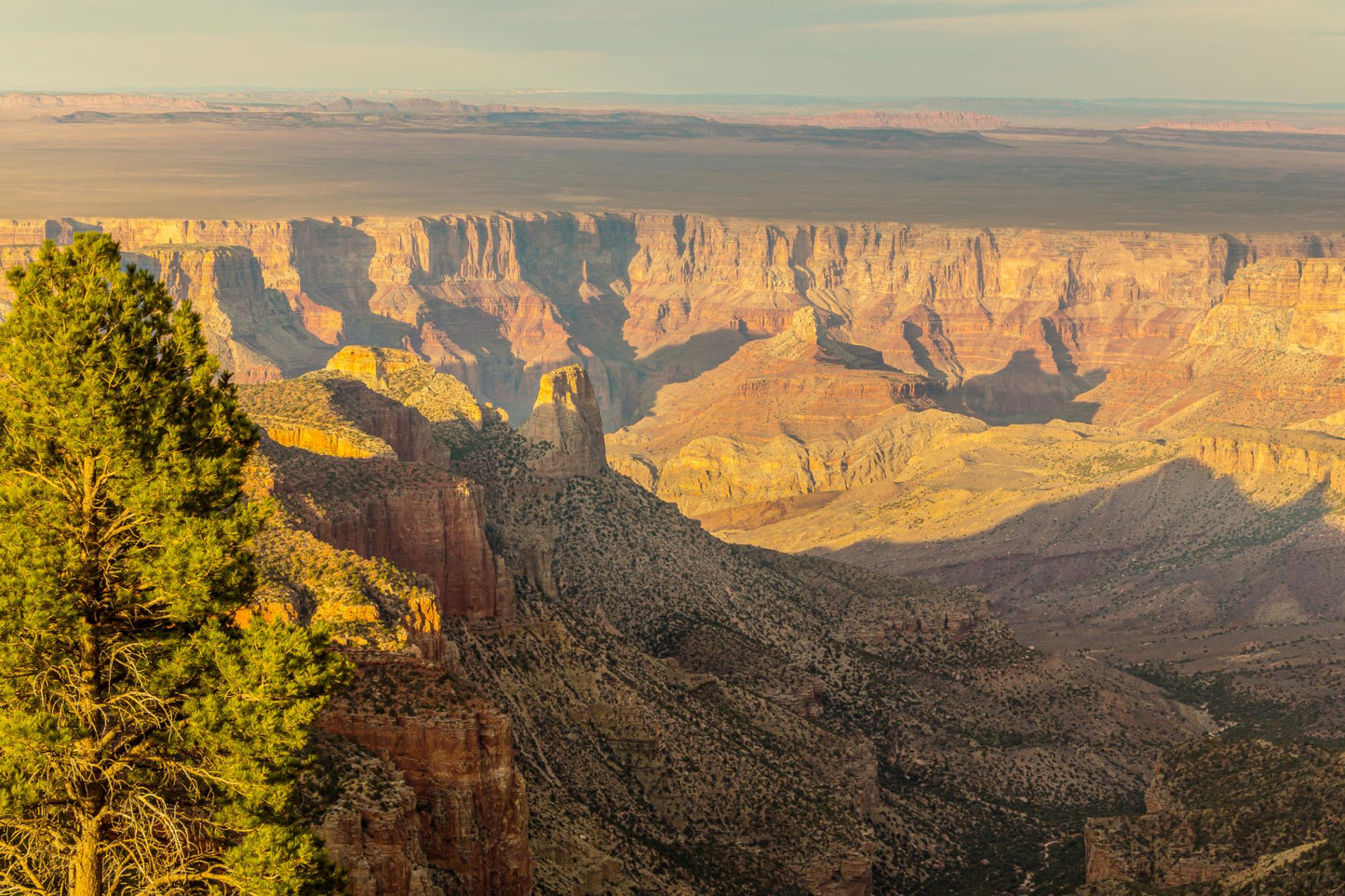 Grand Canyon Arizona #174