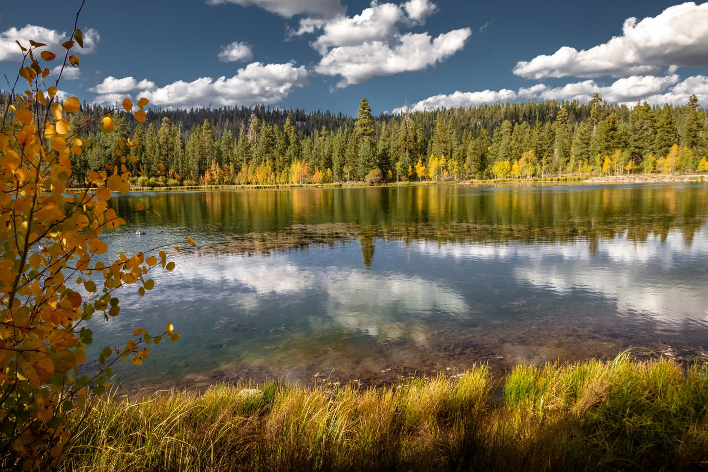 Dixie National Forest Utah 1760