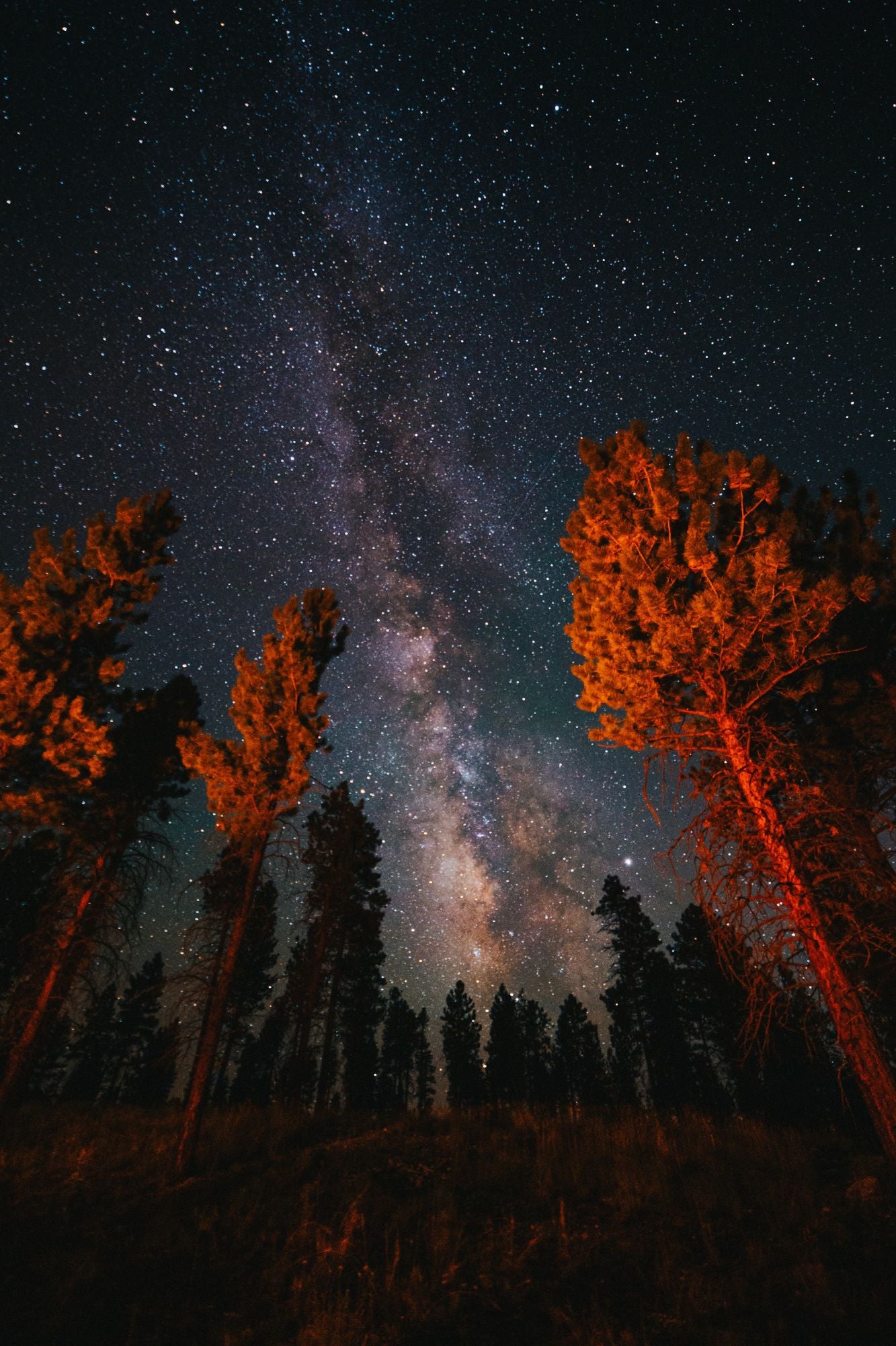 Dixie National Forest Utah 1761