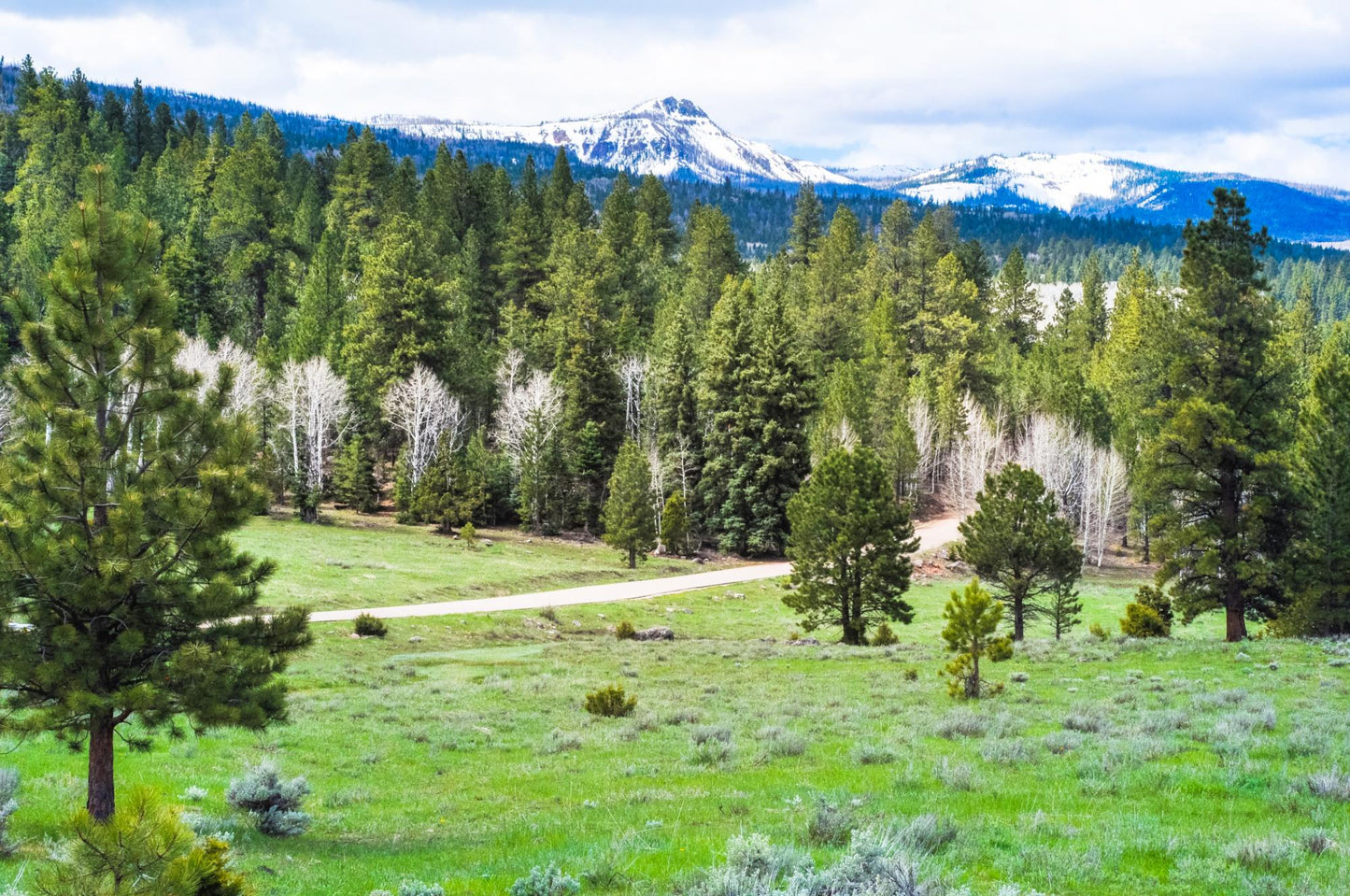 Dixie National Forest Utah 1765