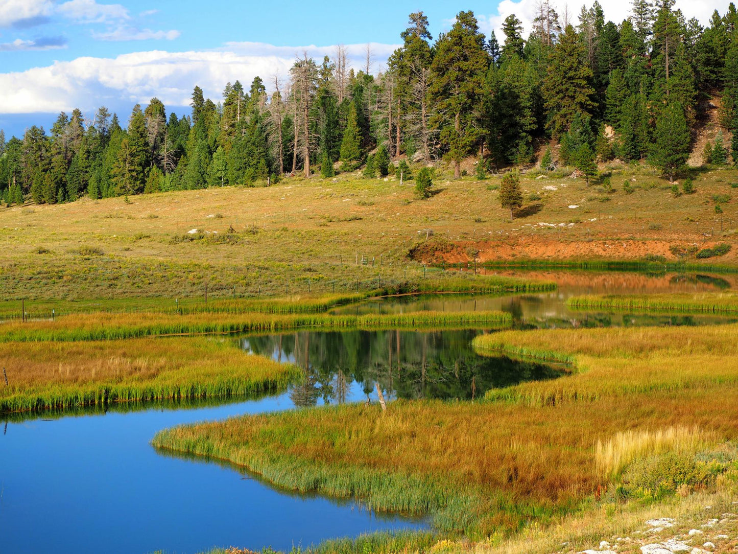 Dixie National Forest Utah 1766