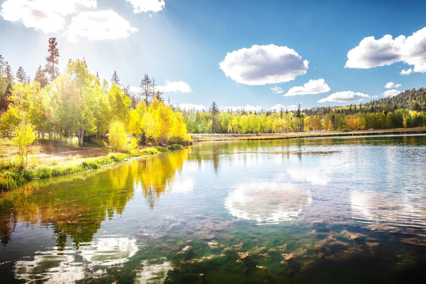 Dixie National Forest Utah 1769