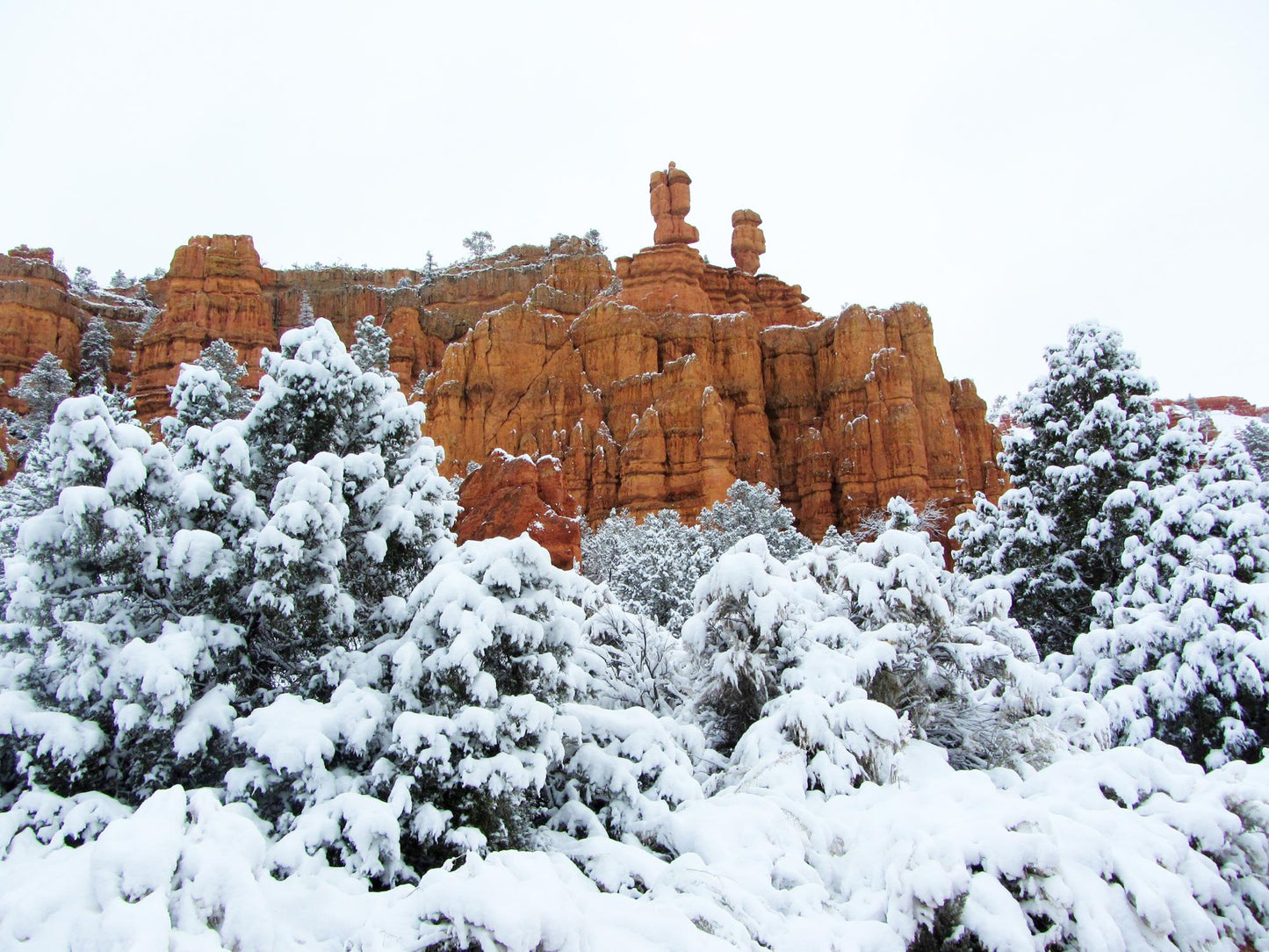 Dixie National Forest Utah 1771