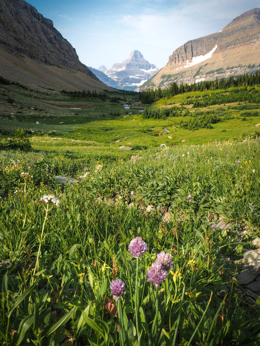 Glacier National Park #3000