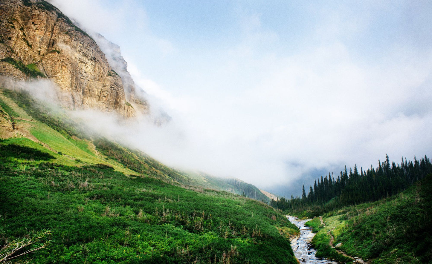 Glacier National Park #3004