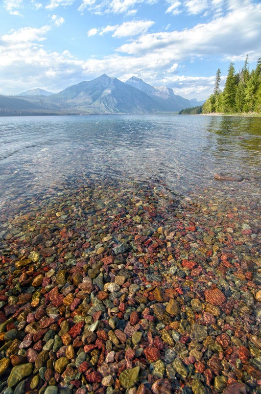 Glacier National Park #3006