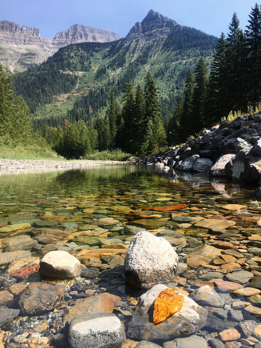 Glacier National Park #3007