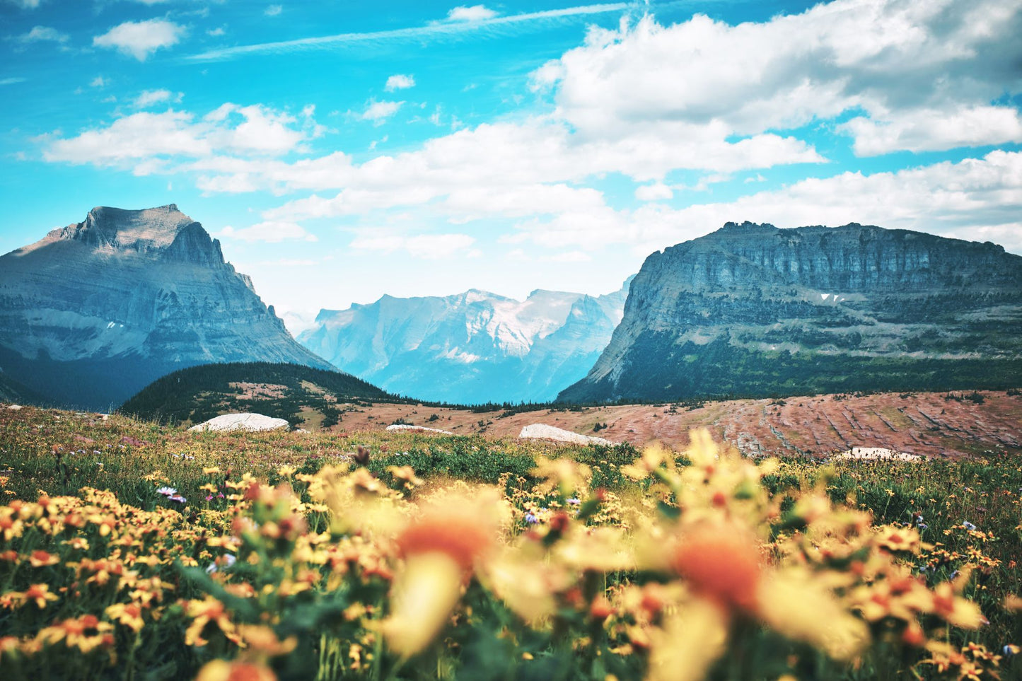 Glacier National Park #3008