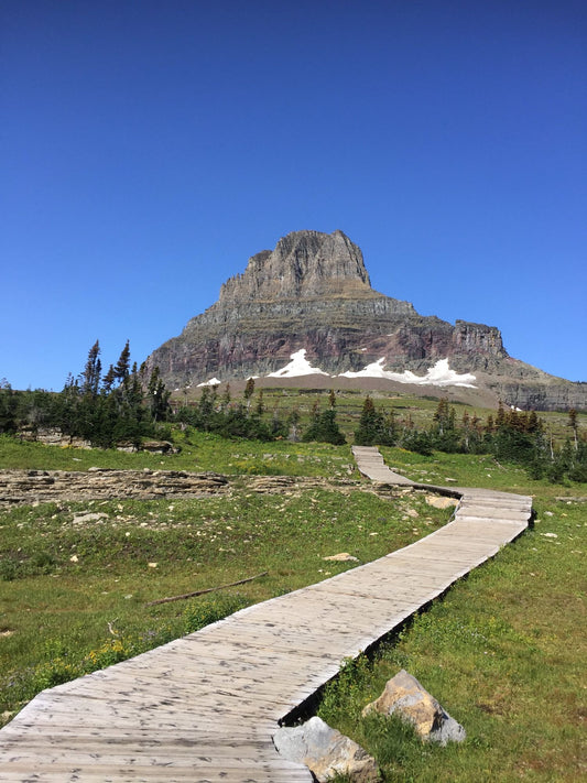 Glacier National Park #3009