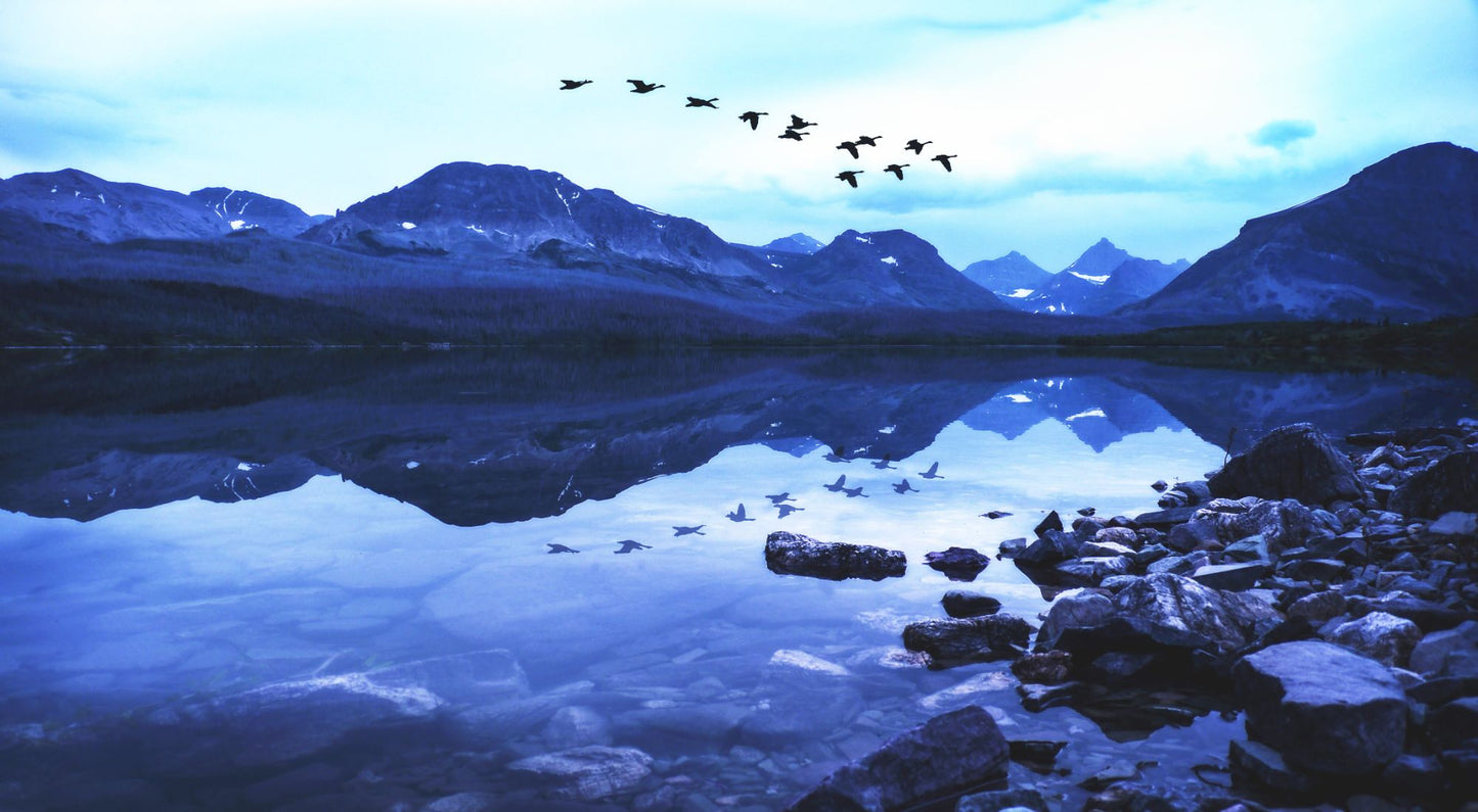 Glacier National Park #3012