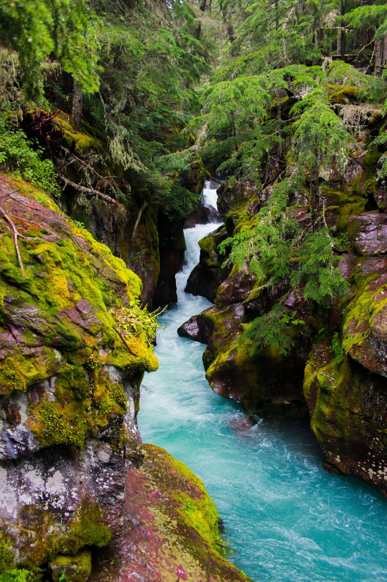 Glacier National Park #3015