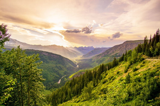 Glacier National Park #3017