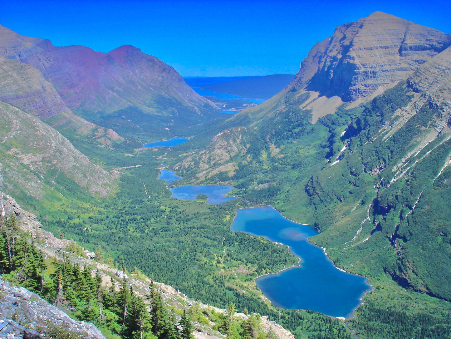 Glacier National Park #3019