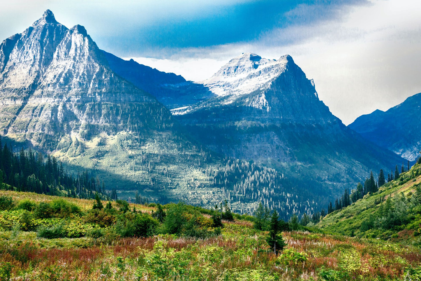 Glacier National Park #3027