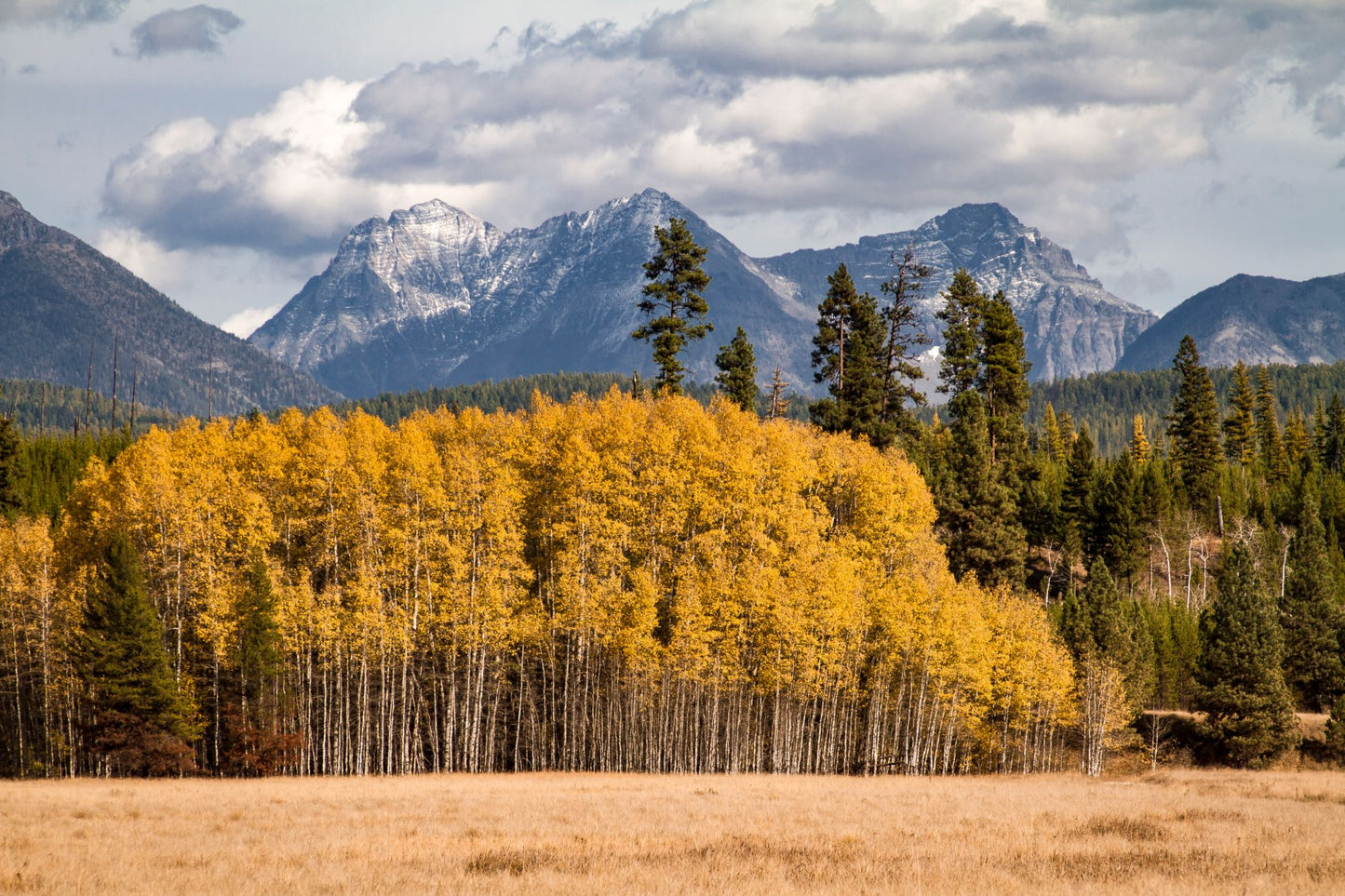 Glacier National Park #3032