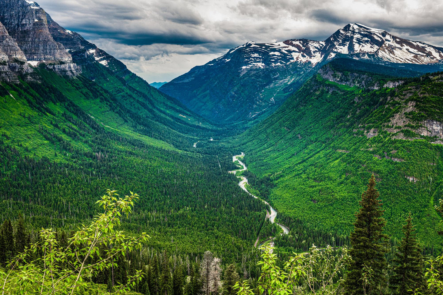 Glacier National Park #3037