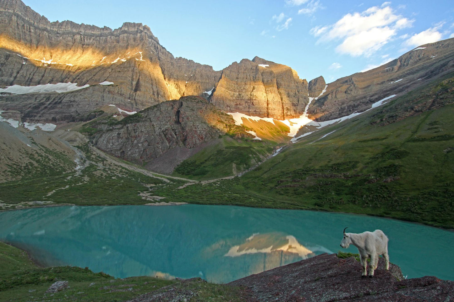 Glacier National Park #3041