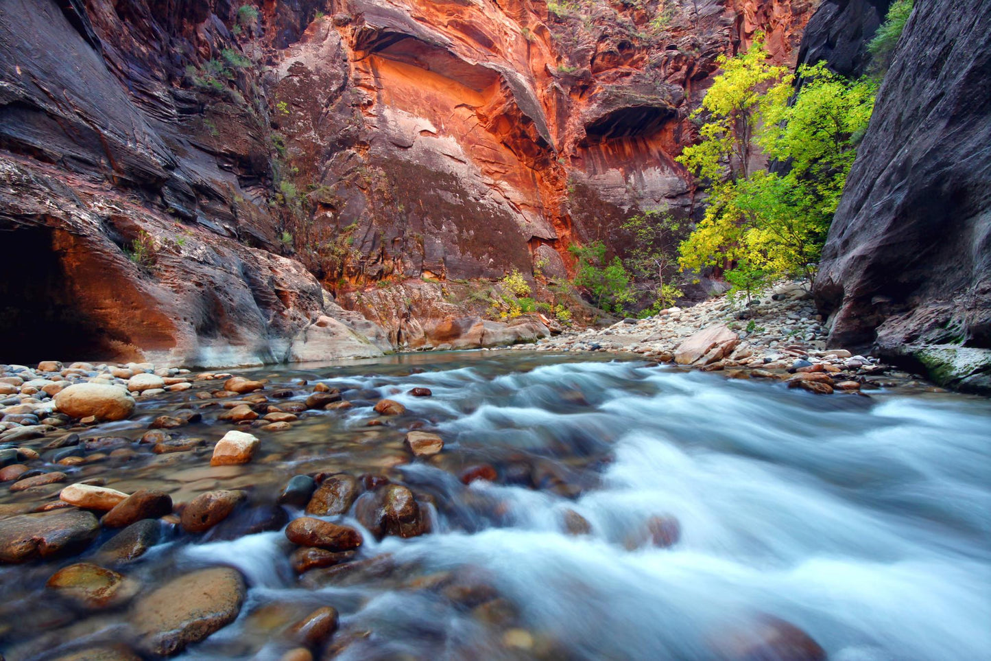 Zion National Park Utah 5540