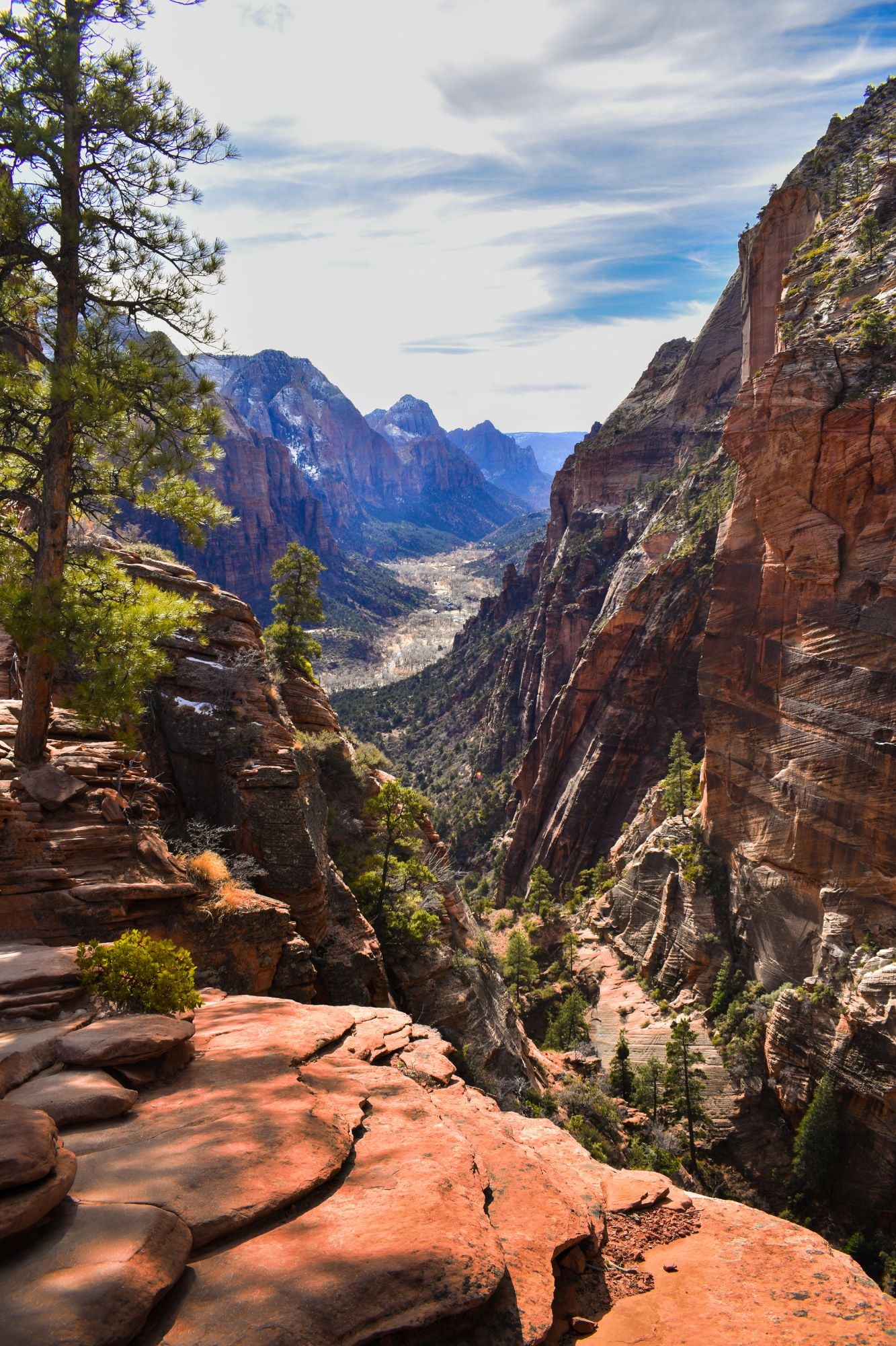 Zion National Park Utah 5861