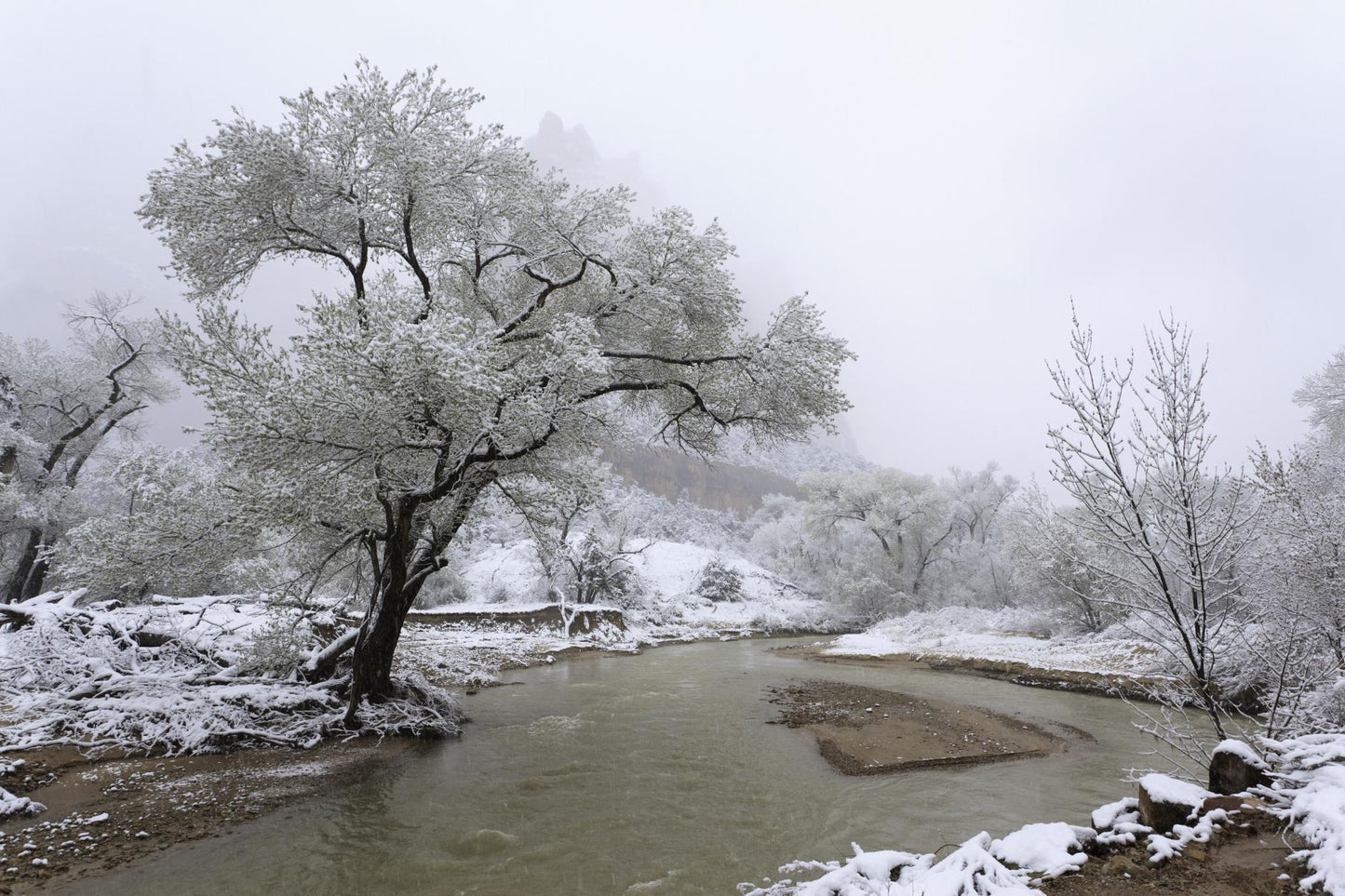 Zion National Park Utah 5865