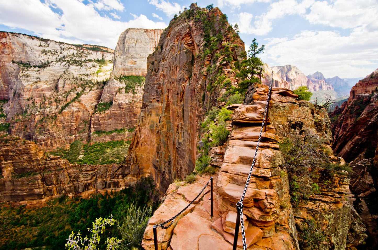 Zion National Park Utah 5867